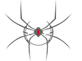 Spiders